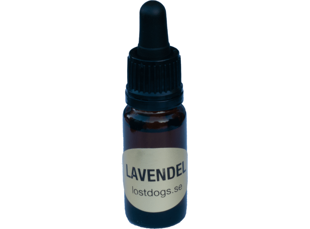 Lavendel, premium, 10 ml