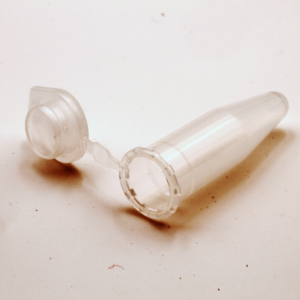 Plastbehållare, vit (medium) - 10-pack