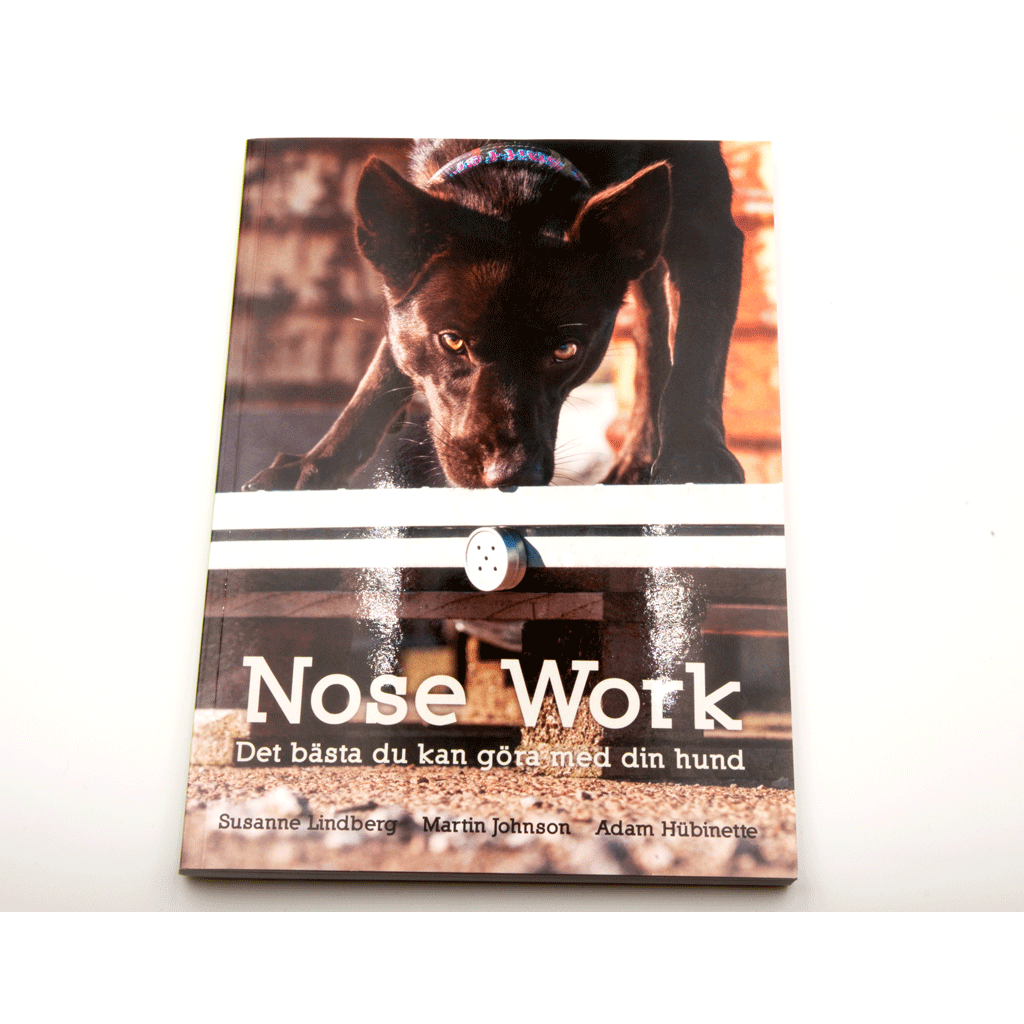 Nose Work - Det bästa du kan göra med din hund